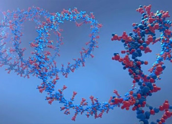 Фармкомпания Eli Lilly покупает американскую биотех-компанию Orna Therapeutics за $2,4 млрд